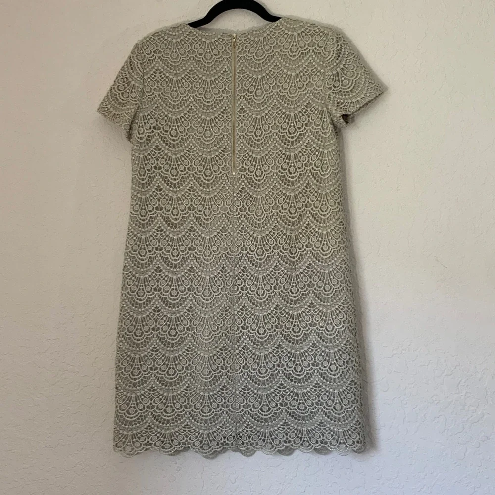 Ann Taylor Dress Champagne Sparkle Lace Shift Scalloped Sz 4 Party Wedding Guest